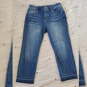 Grace & Lace Zip Up Cropped Jeggings